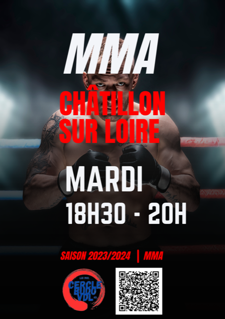 La reprise des cours d’arts martiaux du Cercle Budo Val de Loire va reprendre au gymnase Jean Roblin