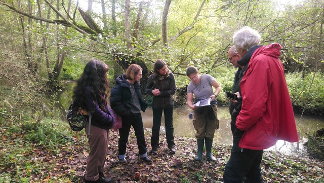 Les traces de la faune sauvage sur l’Île à Gaston