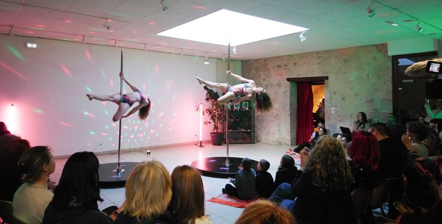 Danse et acrobaties artistiques autour d’une barre