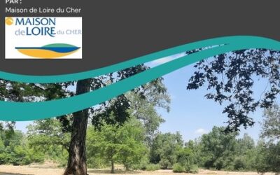 Une collaboration fructueuse avec la Maison de Loire du Cher (MDL)