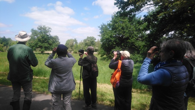 Écouter et observer les oiseaux