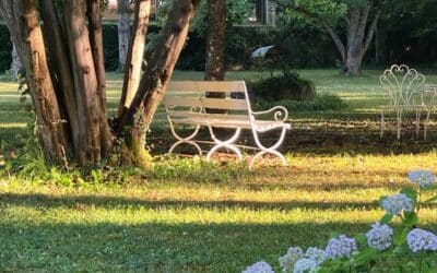 Durant la canicule, la mairie est à la disposition des personnes vulnérables
