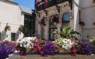 Des fleurs partout en ville
