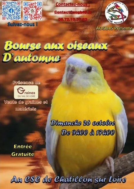 Bourse - Copie Bourse aux oiseaux