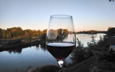 La Loire et la vigne