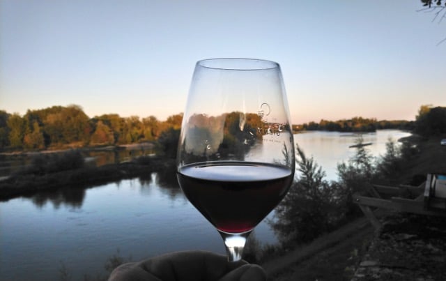 La Loire et la vigne