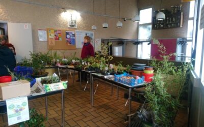 Plantes, boutures et savoirs partagés