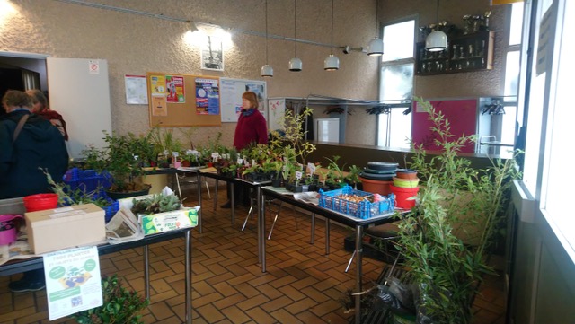 Plantes, boutures et savoirs partagés