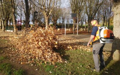 Le tapis mordoré des feuilles d’automne en ville, nettoyé par les services techniques
