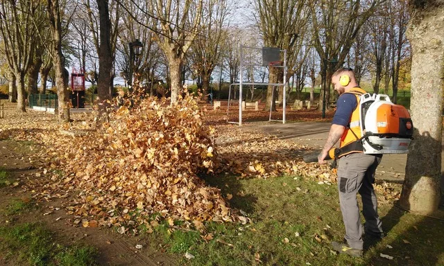 Le tapis mordoré des feuilles d’automne en ville, nettoyé par les services techniques