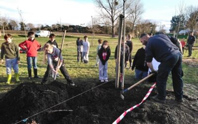 Apprendre à planter un arbre