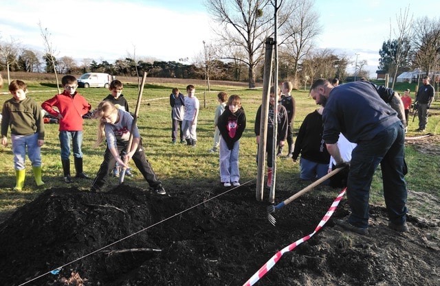 Apprendre à planter un arbre