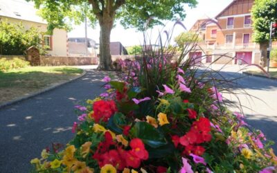 Les fleurs illuminent la ville
