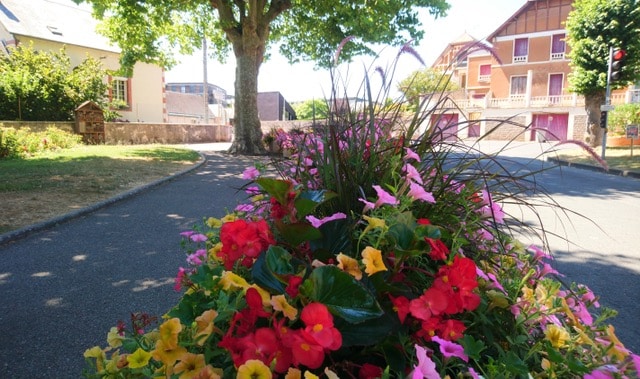 Les fleurs illuminent la ville