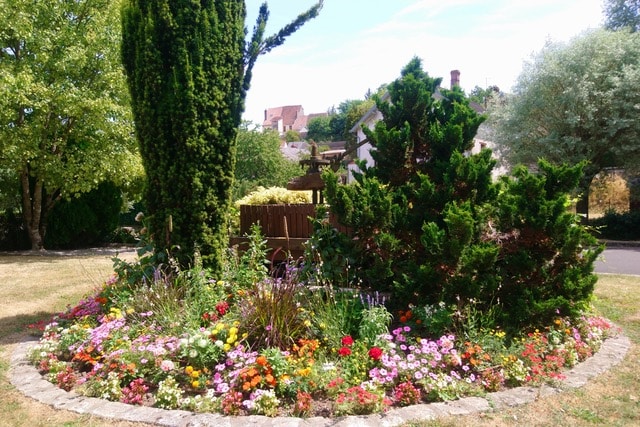 Massif de fleurs colorées entouré de pelouses jaunies