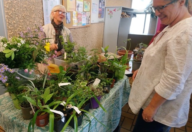 Jardin sous 40 °C : mode d’emploi