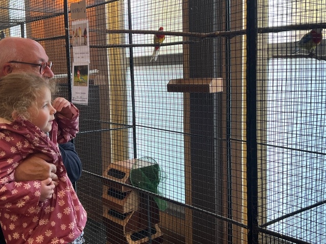 Plus de 500 visiteurs à la bourse aux oiseaux